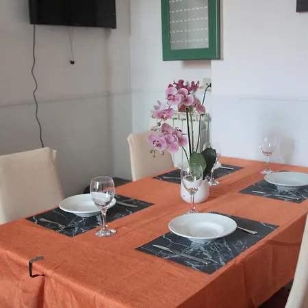 Cat Apartment- Venice *